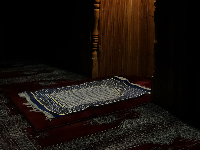 简介： 关于人类遗产礼拜毯的研究 在纺织品上向真主跪拜的哲学